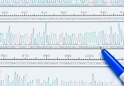 Chromatogram peaks of a DNA sequencing analysis. Chromatogram peaks of a DNA sequencing analysis.